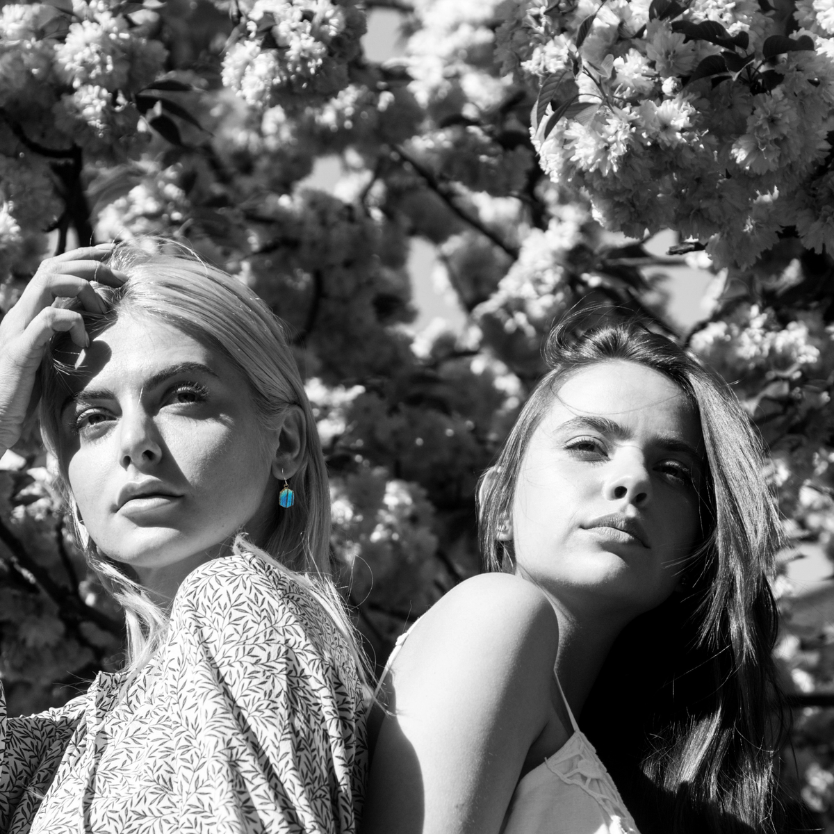 Labradorite slab sterling earrings