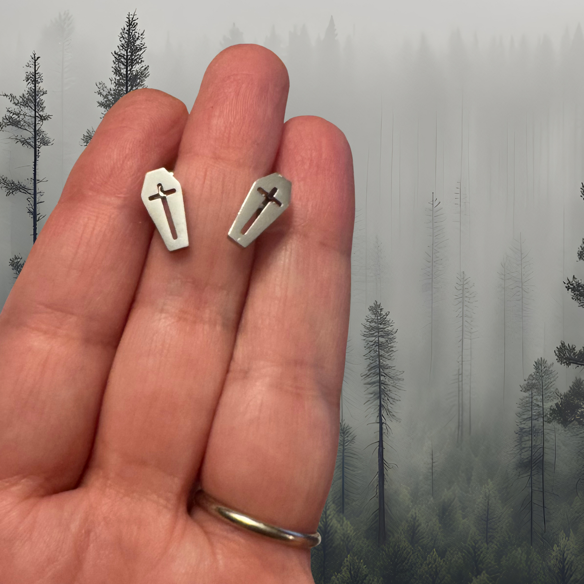 Draculas coffin stud earrings